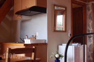 Elounda Olive Garden Apts & Studios_best deals_Hotel_Central Greece_Fthiotida_Amfiklia