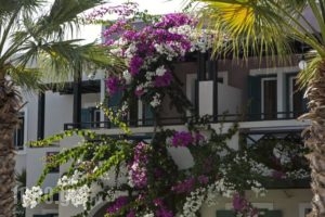 Rose Bay Hotel_best deals_Hotel_Cyclades Islands_Sandorini_kamari