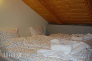 Elisson Hostel_accommodation_in_Hotel_Peloponesse_Korinthia_Kryoneri