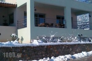 Hotel Athina_lowest prices_in_Hotel_Peloponesse_Korinthia_Xilokastro