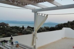 Kalliroe Apartments_travel_packages_in_Crete_Rethymnon_Plakias