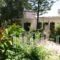 Alexia House_holidays_in_Hotel_Ionian Islands_Corfu_Corfu Rest Areas