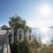Erofili Beach Hotel_holidays_in_Hotel_Aegean Islands_Ikaria_Raches