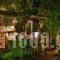 Studio Rellas_best deals_Hotel_Ionian Islands_Paxi_Paxi Chora