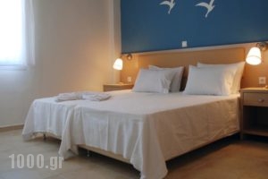 Thalassenia Studios_holidays_in_Hotel_Macedonia_Halkidiki_Haniotis - Chaniotis