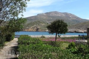 Mealos Apartments_travel_packages_in_Sporades Islands_Skyros_Skyros Rest Areas