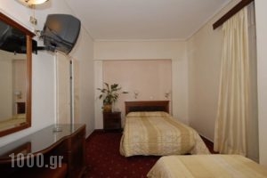 Balasca Hotel_best prices_in_Hotel_Central Greece_Attica_Athens