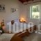 Yorgos Studios_best deals_Hotel_Ionian Islands_Paxi_Paxi Rest Areas