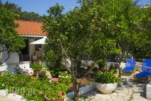 Yorgos Studios_travel_packages_in_Ionian Islands_Paxi_Paxi Rest Areas