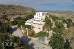 Villa Archilochos_accommodation_in_Villa_Cyclades Islands_Paros_Paros Chora