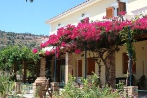 Panorama Apartments_accommodation_in_Apartment_Ionian Islands_Zakinthos_Zakinthos Rest Areas