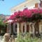 Panorama Apartments_accommodation_in_Apartment_Ionian Islands_Zakinthos_Zakinthos Rest Areas