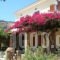 Panorama Apartments_accommodation_in_Apartment_Ionian Islands_Zakinthos_Zakinthos Rest Areas