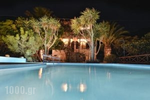 Villa Palm River_accommodation_in_Villa_Crete_Chania_Sfakia