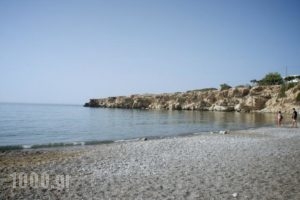 Avra Palm_travel_packages_in_Crete_Lasithi_Koutsounari