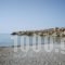 Avra Palm_travel_packages_in_Crete_Lasithi_Koutsounari