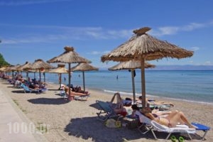 Delfinia Hotel_lowest prices_in_Hotel_Ionian Islands_Corfu_Moraitika