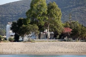 Aggeliko_holidays_in_Hotel_Peloponesse_Lakonia_Gythio