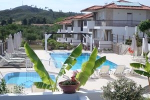 Ampelia Studios_accommodation_in_Hotel_Macedonia_Halkidiki_Haniotis - Chaniotis