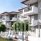 Ampelia Studios_best deals_Hotel_Macedonia_Halkidiki_Haniotis - Chaniotis