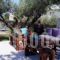 Valentina Apartments_best deals_Apartment_Crete_Heraklion_Gouves