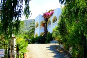 Dionysos Apartments_best deals_Apartment_Ionian Islands_Corfu_Palaeokastritsa