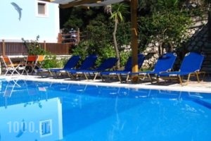 Giorgio Apartments_lowest prices_in_Apartment_Ionian Islands_Lefkada_Lefkada Chora