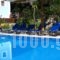 Giorgio Apartments_lowest prices_in_Apartment_Ionian Islands_Lefkada_Lefkada Chora