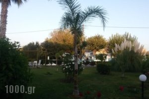 Eftihia Apartments_best deals_Apartment_Dodekanessos Islands_Kos_Kos Chora