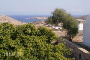 Guesthouse Xenios Zeus_holidays_in_Hotel_Cyclades Islands_Schinousa_Schinousa Chora