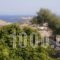 Guesthouse Xenios Zeus_holidays_in_Hotel_Cyclades Islands_Schinousa_Schinousa Chora