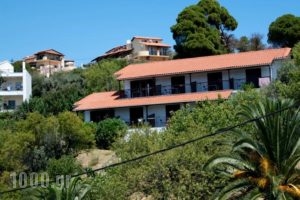 Villa Anna_accommodation_in_Villa_Thessaly_Magnesia_Pinakates