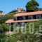 Villa Anna_accommodation_in_Villa_Thessaly_Magnesia_Pinakates