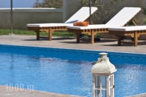 Villa Ariella_holidays_in_Villa_Crete_Chania_Nopigia