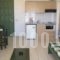 Nikolas Villas Aapartments_best prices_in_Villa_Crete_Heraklion_Chersonisos