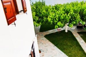 Thalassia Studios_accommodation_in_Hotel_Sporades Islands_Skyros_Kalamitsa