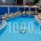 Hotel Koala_travel_packages_in_Dodekanessos Islands_Kos_Kos Chora