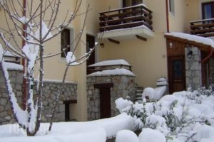 Dryas Guesthouse_best deals_Hotel_Central Greece_Fokida_Polidrosos