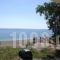 Studios Yalos_best deals_Hotel_Thessaly_Magnesia_Zagora