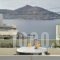 Hara Studios and Apartments_best deals_Apartment_Cyclades Islands_Paros_Naousa