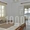 Hara Studios and Apartments_accommodation_in_Apartment_Cyclades Islands_Paros_Naousa