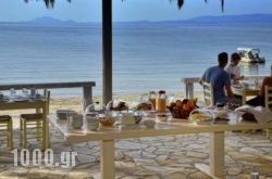 Albouro Seafront Apartments in Patmos Chora, Patmos, Dodekanessos Islands