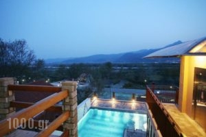 Hotel Athina_lowest prices_in_Hotel_Macedonia_Pella_Aridea