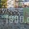 Kedros Village_best deals_Hotel_Central Greece_Evritania_Karpenisi