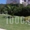 Villa K_best deals_Villa_Central Greece_Attica_Lavrio