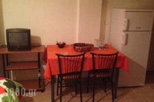 Tokamanis Apartments_lowest prices_in_Apartment_Thraki_Evros_Didimoticho