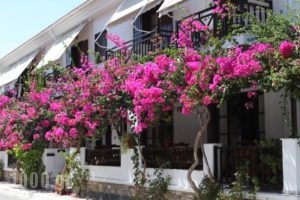 Hotel Angeliki_travel_packages_in_Dodekanessos Islands_Patmos_Patmos Chora
