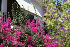 Hotel Angeliki_lowest prices_in_Hotel_Dodekanessos Islands_Patmos_Patmos Chora