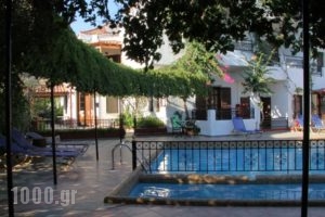Mary Hotel_lowest prices_in_Hotel_Aegean Islands_Samos_Marathokambos