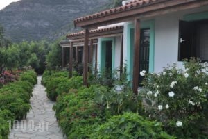Studio Froso_travel_packages_in_Aegean Islands_Samos_Samos Rest Areas